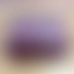 Rolex Vintage Montres S.A. - Geneve Switzerland 53 00 01 Watch Box