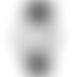 Longines L4.899.4.21.2 Flagship Collection Automatic Men's Watch + Free Post $1,528 with best offers.