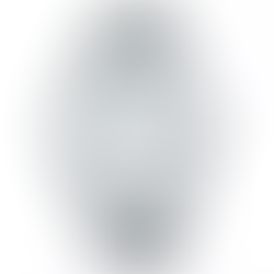 Seiko Selection SBTM317 Men's Watch New Box +Free Post $340 with best offers.