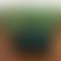 Rolex Montres S.A. - Geneve Suisse 11.00.01 Watch Box