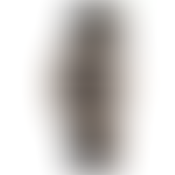 Longines L2.285.5.56.3 Conquest Classic Automatic Women's Watch + Free Post $1,348 with best offers.