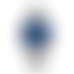 Citizen Collection NB1050-59L Automatic Classic Blue Dial Watch + Free Post $493 with best offers.