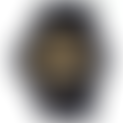 Casio G-Shock GA-710GB-1AJF Black x Gold Quartz Men's Watch Paper+ Free Post $205 with best offers.
