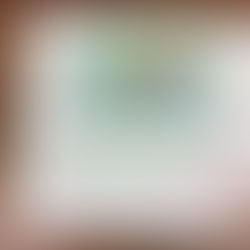 Rolex 79174 DateJust Garantie Paper