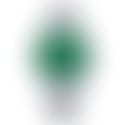 Citizen Collection NJ0150-81X Automatic Classic Green Dial Watch + Free Post $403 with best offers.