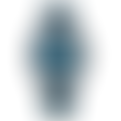 Citizen Collection NB1060-12L Automatic Blue Leaf Lacquer Dial + Free Post $808 with best offers.