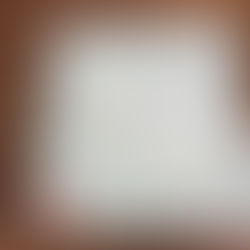 Rolex DateJust President 79089 Garantie Paper 2000