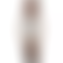 Citizen Exceed EX2002-03A Eco-Drive Brown Leather Women's Watch + Free Post $403 with best offers.