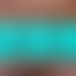 Rolex Vintage Cert/Translation Booklets Set of 3 1988