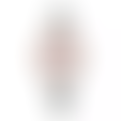 Seiko Selection SWFH132 Women's Watch New Box +Free Post $331 with best offers.