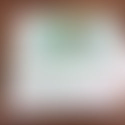 Rolex 79173 DateJust Garantie Paper Year 2003