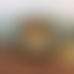 Rolex DateJust 16233 Vintage 1994 Watch Box + Booklet & Tag