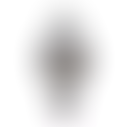 Citizen Collection NB1050-59H Automatic Silver Gray Men's Watch + Free Post $448 with best offers.