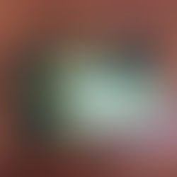 Rolex Submariner Booklet in Chinese 1998