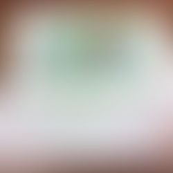 Rolex Ladies Datejust 179173 Garantie Paper 2006 + Tag & Bezel Cover