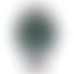 Citizen Attesa AT8181-63W Green Dial ACT Line Super Men's Watch + Free Post $940 with best offers.