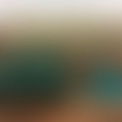 Rolex Oyster Precision 6466/0 Vintage Watch Box + Tag & Pouch