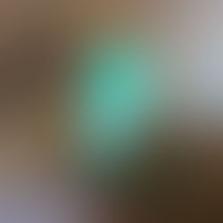 Rolex Vintage 1960s 1600 Swimpruf Oyster Paper Tag