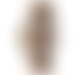 Gucci G-Timeless YA1264078 Multi-Colored Men's Watch + Free Post $584 with best offers.