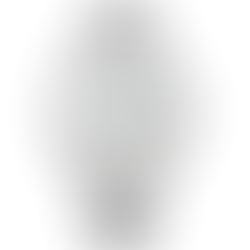 Citizen Collection NY4050-62A Automatic Classic Day/Date Men's Watch + Free Post $268 with best offers.