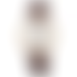 Citizen Collection EW3252-07A Eco-Drive Day/Date Women's Watch + Free Post $205 with best offers.