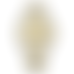 Citizen Collection NY4057-63P Automatic Elegant Gold Dial Men's Watch+ Free Post $304 with best offers.