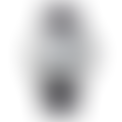 Orient Bambino RN-AP0104S Classic Collection Men's Watch New Box + Free Post $313 with best offers.