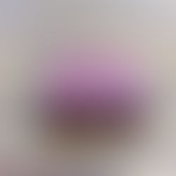 Tudor Montres S.A. Geneve Switzerland 94 00 01 Watch Box