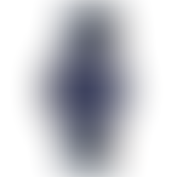 Longines L4.810.4.97.2 Elegant Blue Automatic Men's Watch + Free Post $1,528 with best offers.