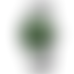 Gucci G-Timeless YA1264108 Green Dial Men's Watch + Free Post $673 with best offers.