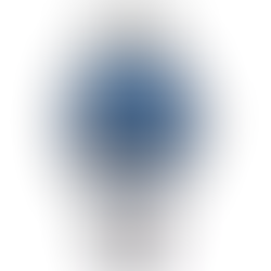 Citizen Collection NP1010-78L Elegant Blue Dial Automatic Men's Watch+ Free Post $313 with best offers.