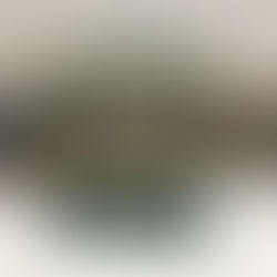 Rolex Vintage Seahorse Box 06.00.06