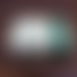 Rolex Vintage DateJust 1601 Outside Watch Box 1972