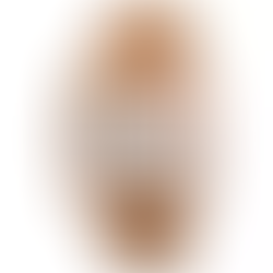 Gaga Milano 60312LBRNEW Napoleon Mother of Pearl Women's Watch + Free Post $538 with best offers.