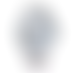 Orient Star RK-AV0127L Contemporary Collection Men's Watch New Box + Free Post $853 with best offers.