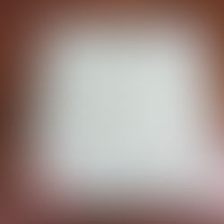 Rolex DateJust 79174 Garantie Paper 2000