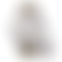 Orient RN-AK0808S Classic Bambino Quartz Men's Watch New Box +Free Post $430 with best offers.