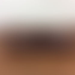 Audemars Piguet Vintage Long Watch Box