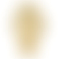 Salvatore Ferragamo New Lady SFU200623 Chrono Women's Watch New Box + Free Post $1,078 with best offers.
