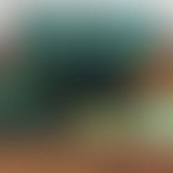 Rolex Submariner 16610 Watch Box 2003 + Booklets, Tags & Calendar Set