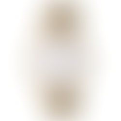 Longines L4.859.1.11.7 Lyre White Dial Two-tone Ladies Watch + Free Post $1,348 with best offers.