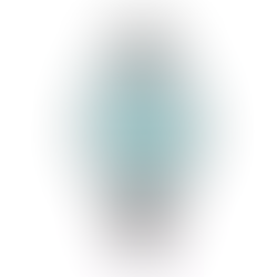 Citizen Collection NJ0151-88M Automatic Classic Sky Blue Dial Watch + Free Post $403 with best offers.