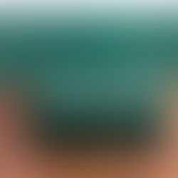 Rolex S A - Geneve Suisse 70.00.01 Watch Box