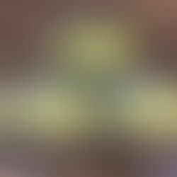 Your Rolex Booklets in Chinese set of 3 1998-1999