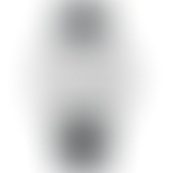Citizen Collection NB1060-04A Automatic Collection Silver Leaf Dial + Free Post $808 with best offers.