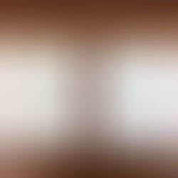 Cartier Certificate Booklet + Instructions Booklet & Holder 