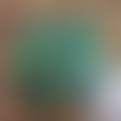 Rolex Oyster Swimpruf Green Hang Tag set of 14