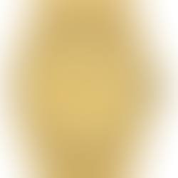Tissot PRX T137.410.33.021.00 Gold Dial Quartz Men's Watch +Free Post $673 with best offers.