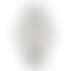 Citizen Collection NB1050-59A Automatic Classic White Dial Watch + Free Post $493 with best offers.