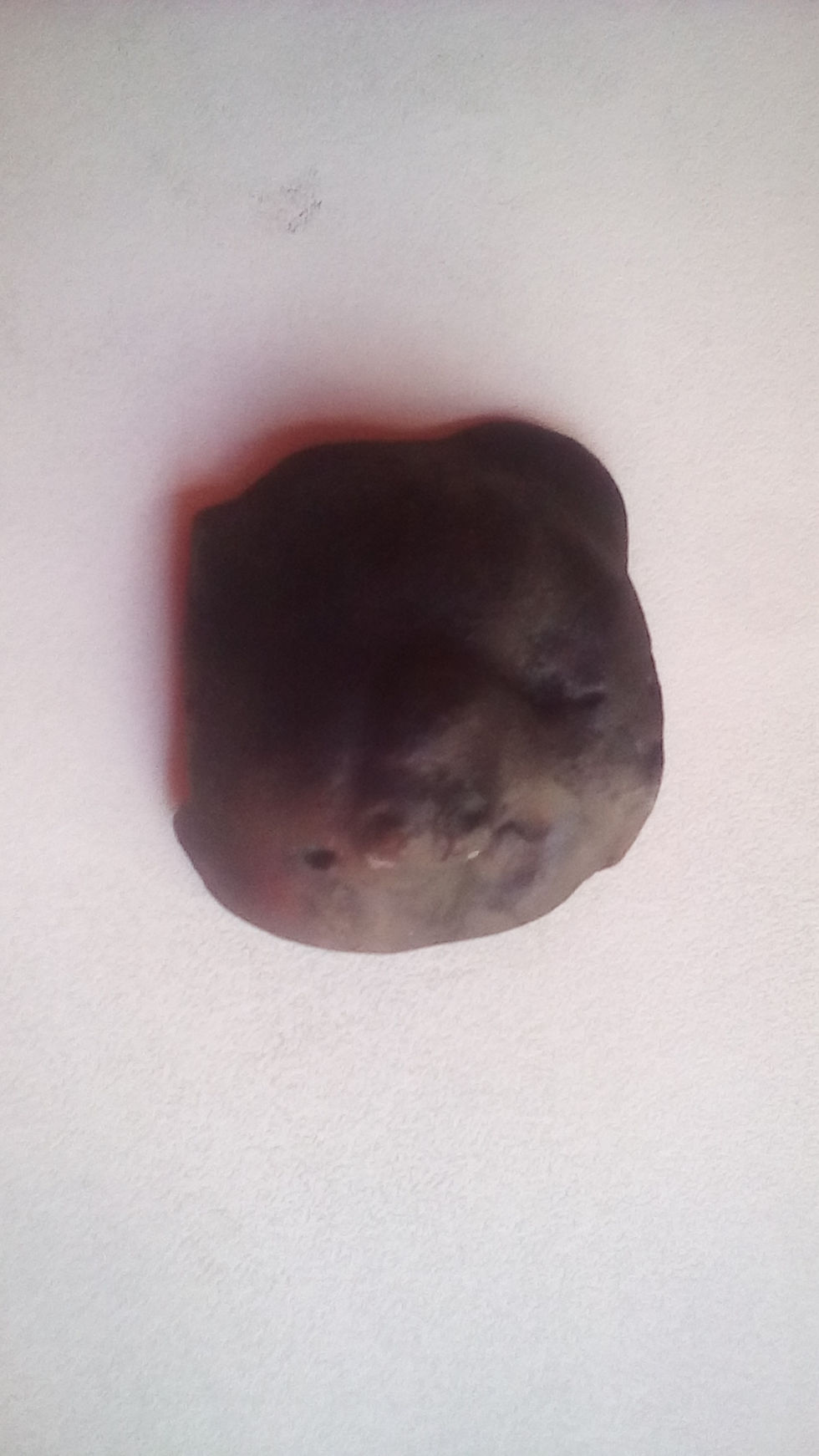 Miniatura: * FIGURAS * CARA DE OSOS PARA COLOREAR